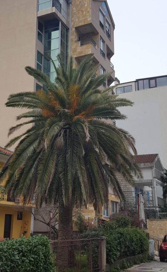 Apartman Centar Lux Budva Exteriör bild